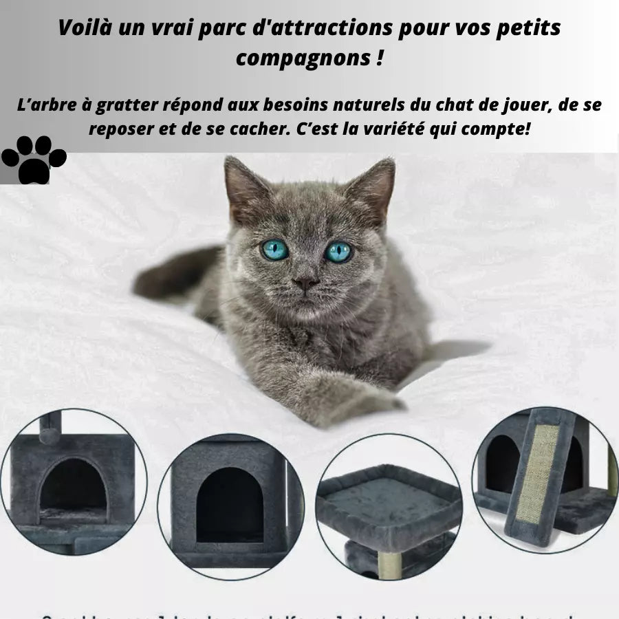 Arbre à chat de luxe d'intérieur avec plusieurs niveaux