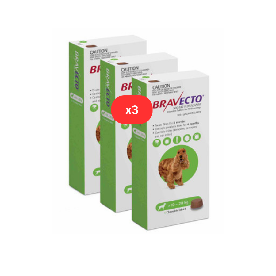 boite bravecto vert pour chien