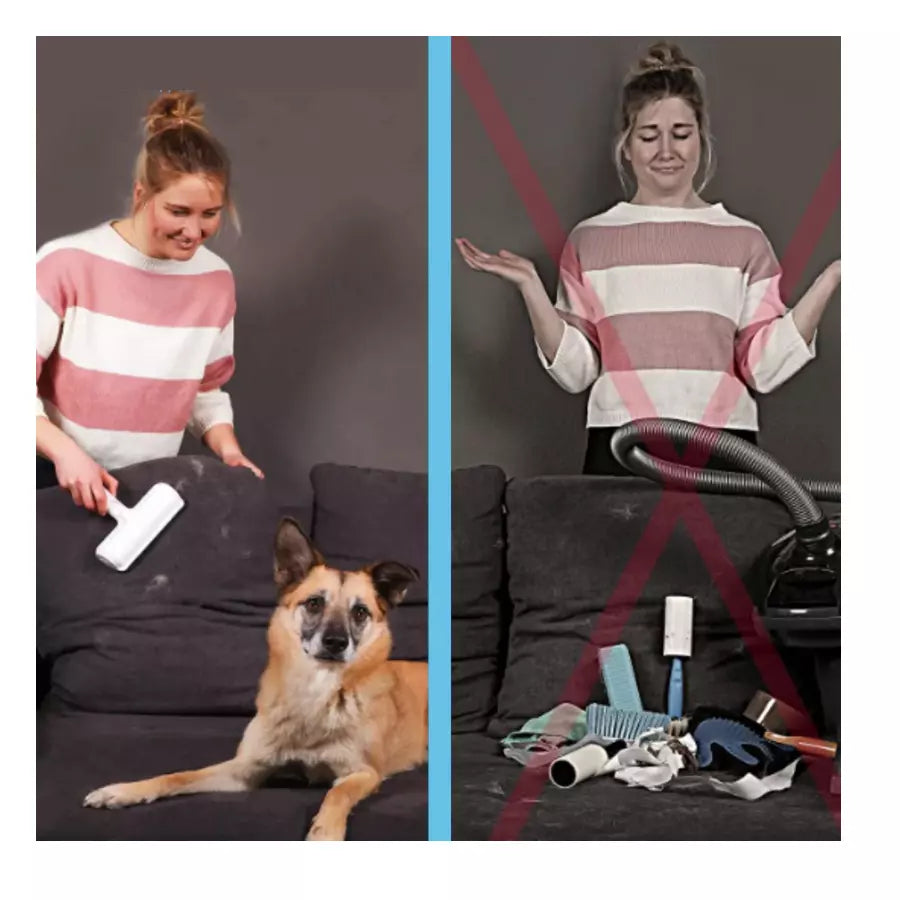 Brosse anti poils pour animaux de compagnie Chien Chat